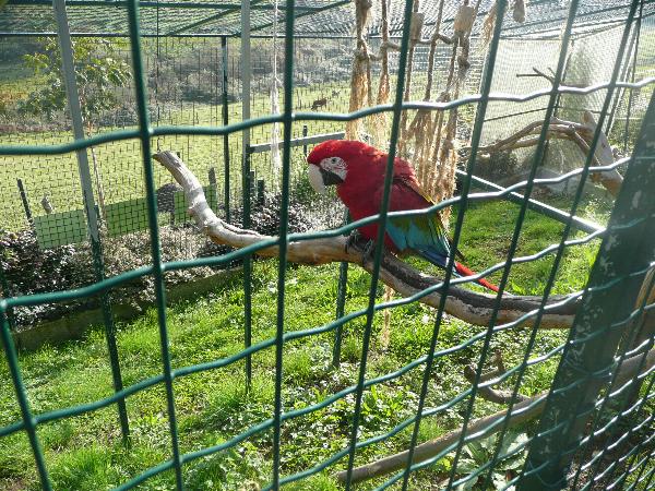 En el Zoo
