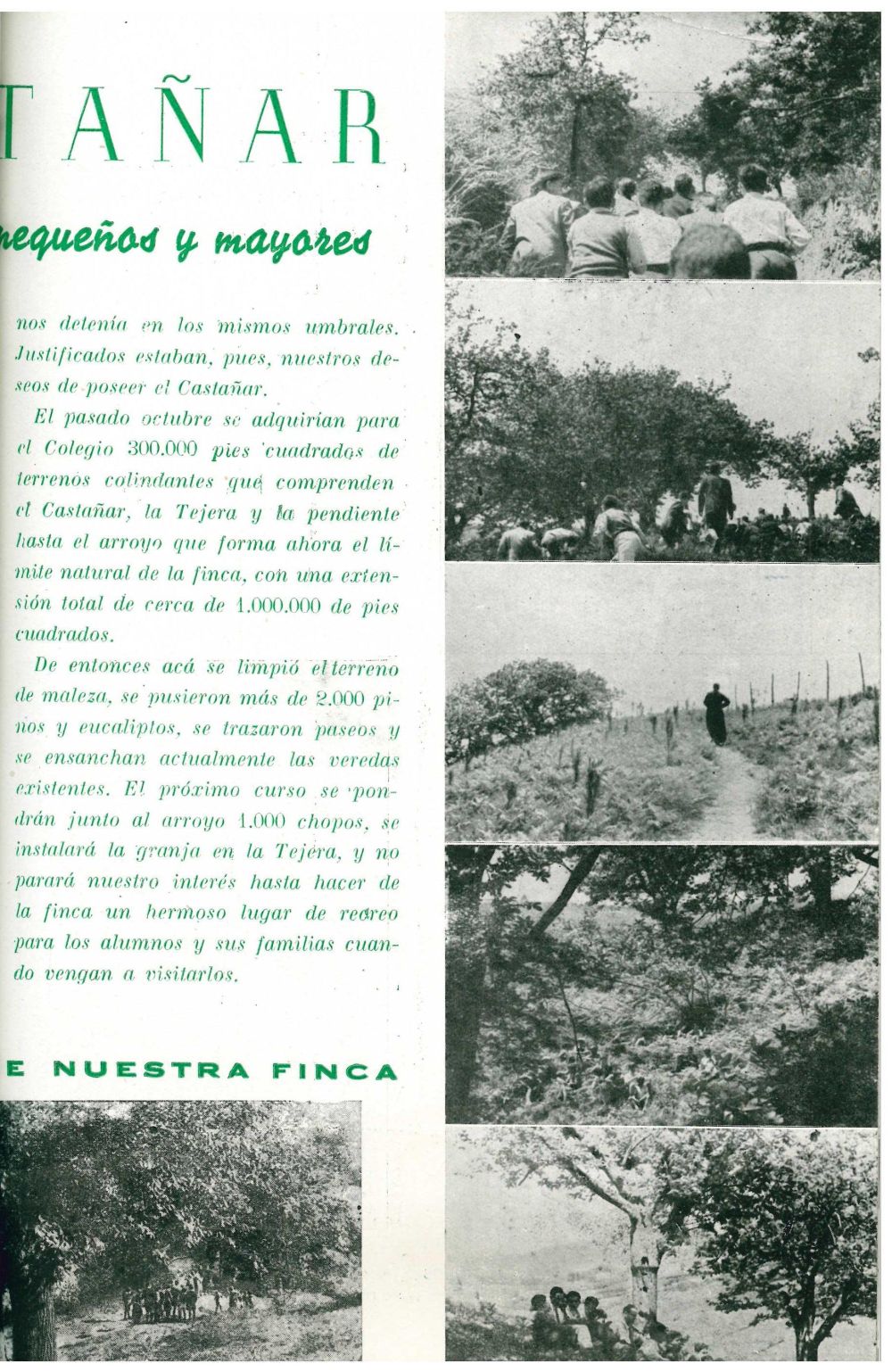 Revista Nuestra Prensa