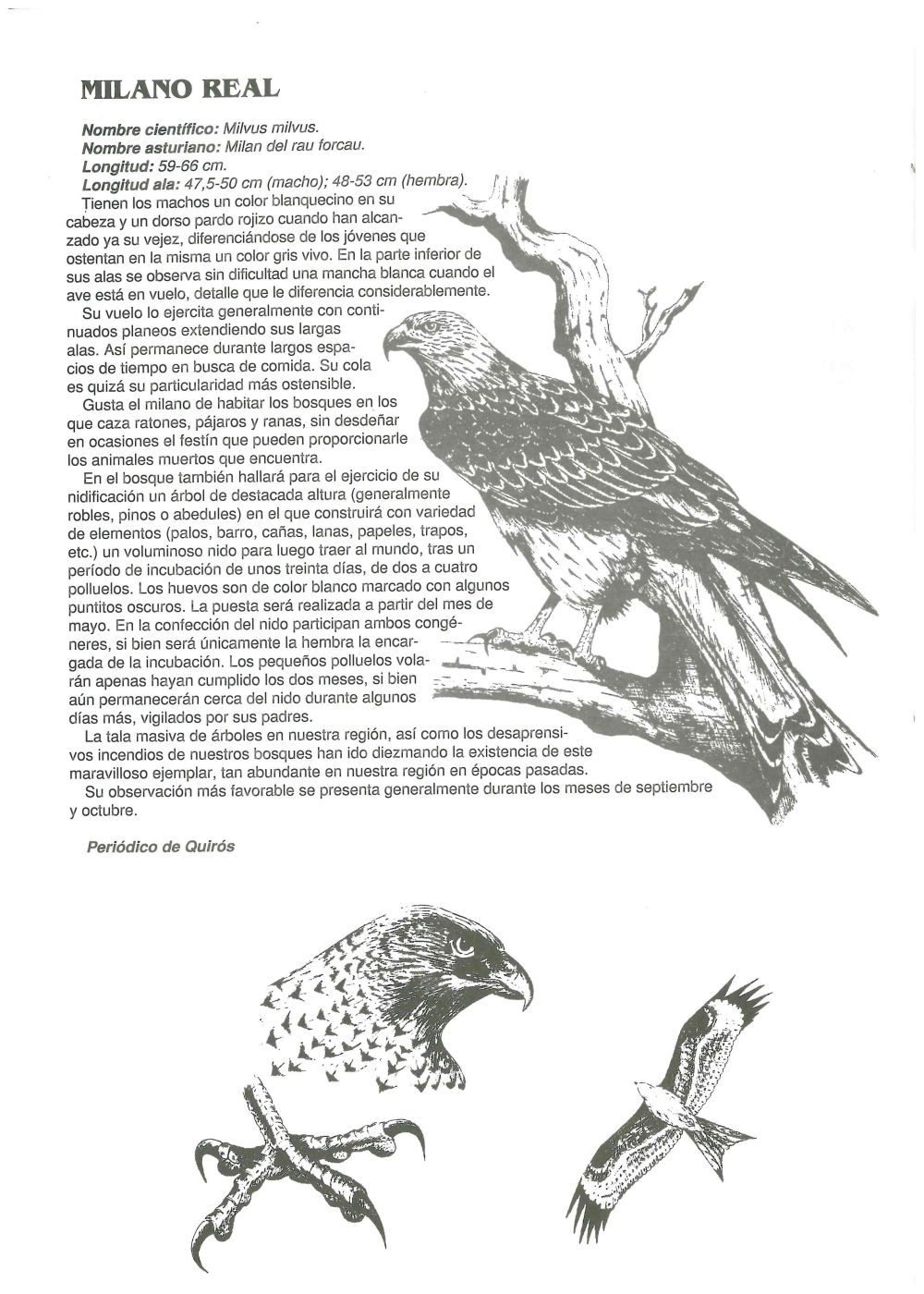 Revista Nuestra Prensa