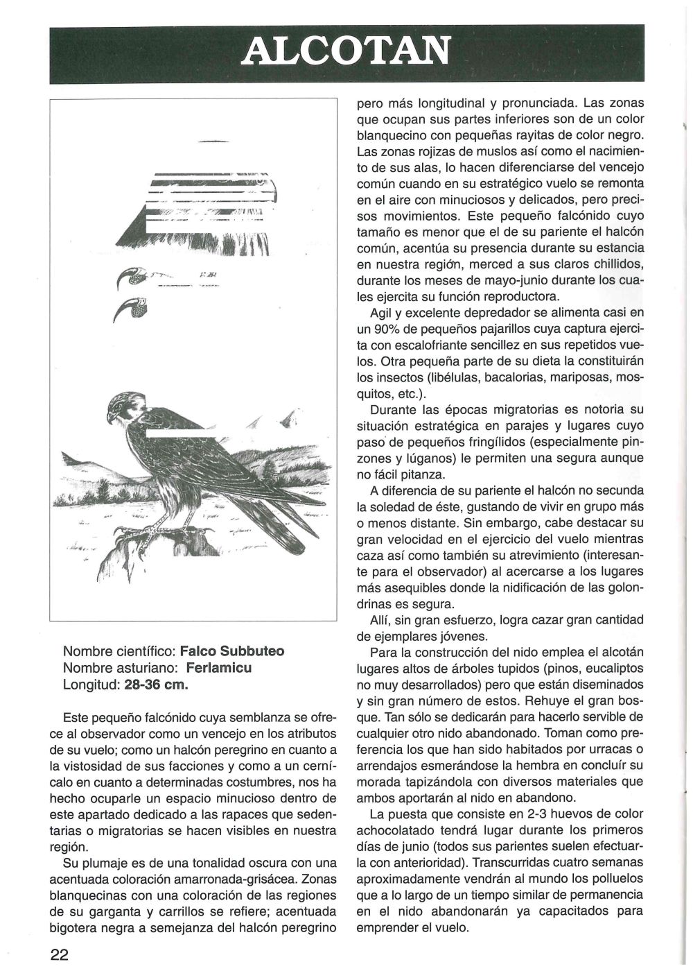 Revista Nuestra Prensa