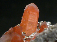 Laboratorio de Geolog�a